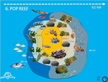 Pop Reef